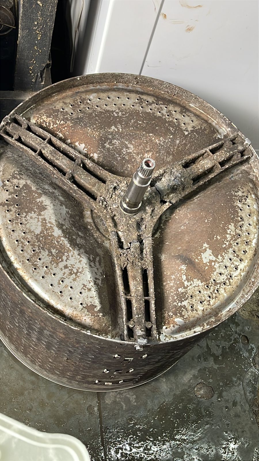 Serviço de higienização de máquina de lavar